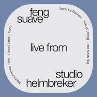 Half-Moon Bag — Feng Suave