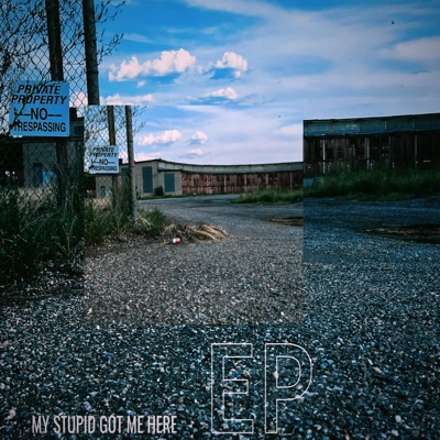 MY STUPID GOT ME HERE (feat. Gold Laced Productions) - EP