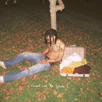 FLAWED LIKE ME VOLUME 1 - EP