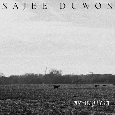 one-way ticket - Single