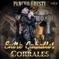 Entre Caballos y Corrales