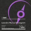 Stardust (The Wash Remix) - Evegrem & Leandro Murua