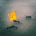 La Tormenta