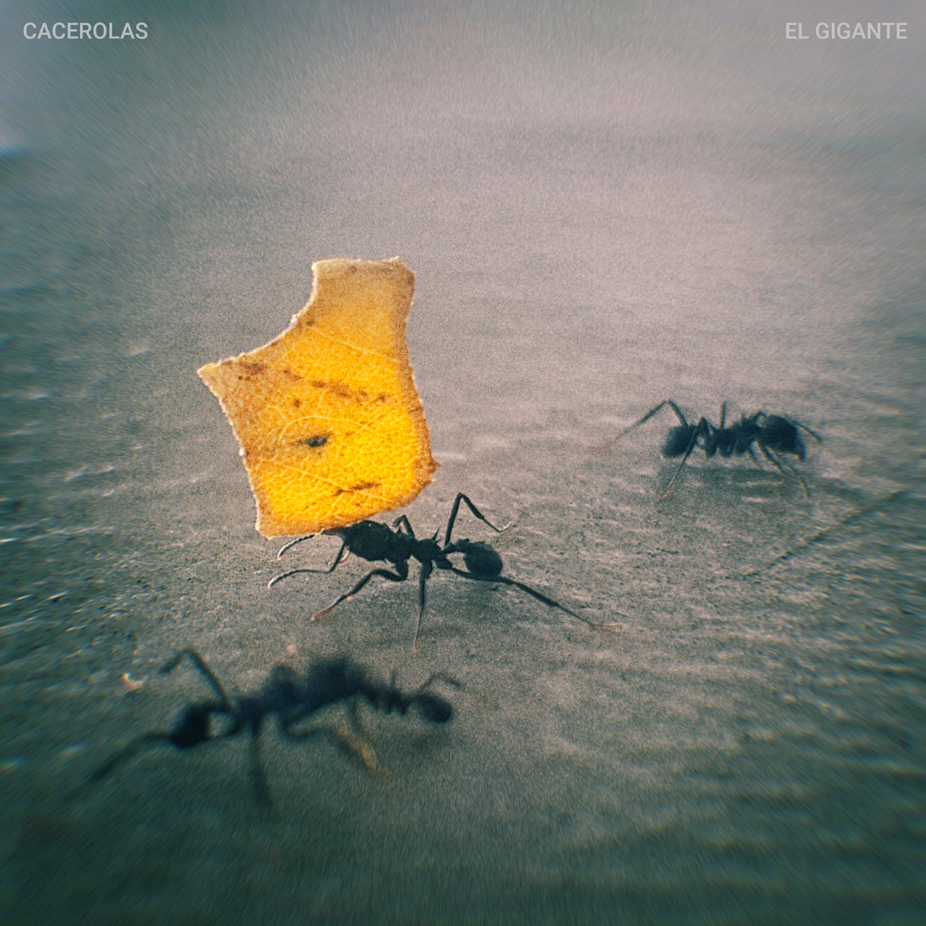 Cacerolas - La Tormenta