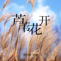 芦苇花开 - Single - 张宇桦 & 付娜