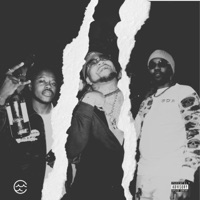 Shake (feat. SteveDaStoner & Munch Lauren) [Remix] - Single - Wave Chapelle