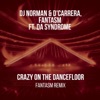 Crazy on the Dancefloor - Single