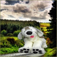 My Heart - Single - Dog *Popstar*