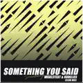 Something You Said