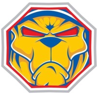 TUF na Alegria ou na Dor - Single - Mc Bacana