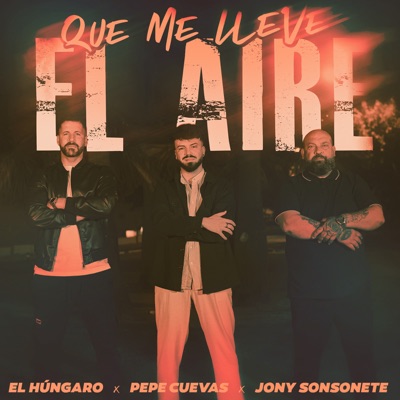 Que me lleve el aire - Single