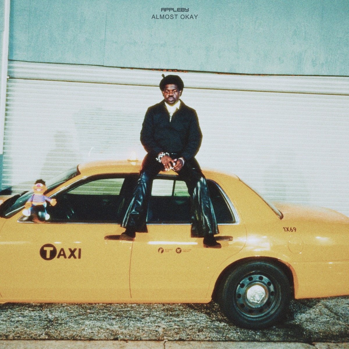 Appleby - Almost Okay (2025) [iTunes Plus AAC M4A]-新房子