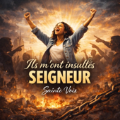 Ils m'ont insultés Seigneur