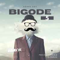 Bonde Dos Bigode 5 (feat. Só Hits Records) - Single - DJ FLAVIN ZL, PSICO ZS & DJ VTEZIN ZS