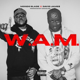 W.A.M. (Walk Around Money) (feat. David Jame$) Mondo Slade