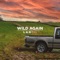 Wild Again - LANCO lyrics