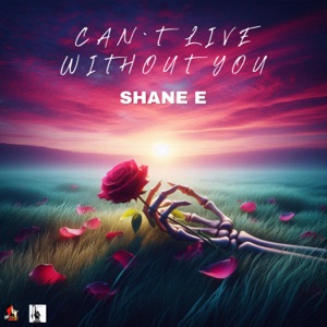 Can't Live Without You