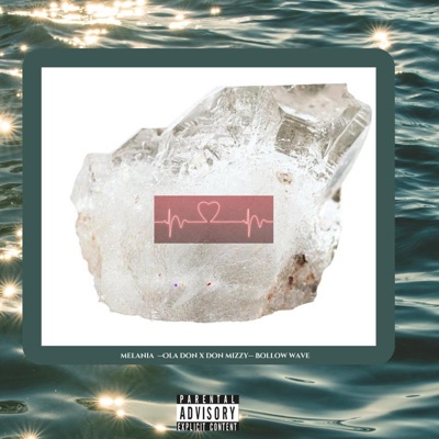 MELANIA (feat. Don mizzy & Bollow Wave) - Single