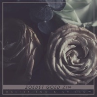 Zoedet Goed Zin (feat. Chillow) - Single - Walter Ego & Chillowproductions