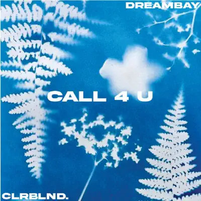 Posłuchaj utworu CALL4U - Single wykonywanego przez CLRBLND. & Dreambay..