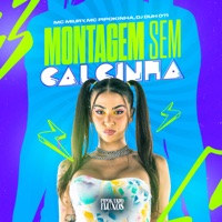 Montagem Sem Calcinha - Single - Miury Dj, MC Pipokinha & DJ DUH 011