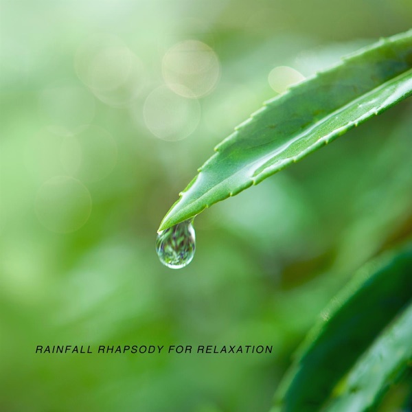 Rainfall Rhapsody for Relaxation - Single