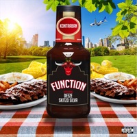Function (feat. Deeze & Skitzo Silva) - Single - Kontraban