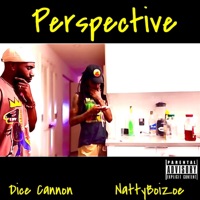 Perspective (feat. Natty Boi Zoe) - Single - Dice Cannon