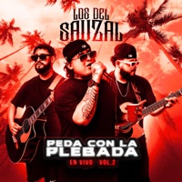 PEDA CON LA PLEBADA, Vol. 2 (En Vivo) - Los Del Sauzal