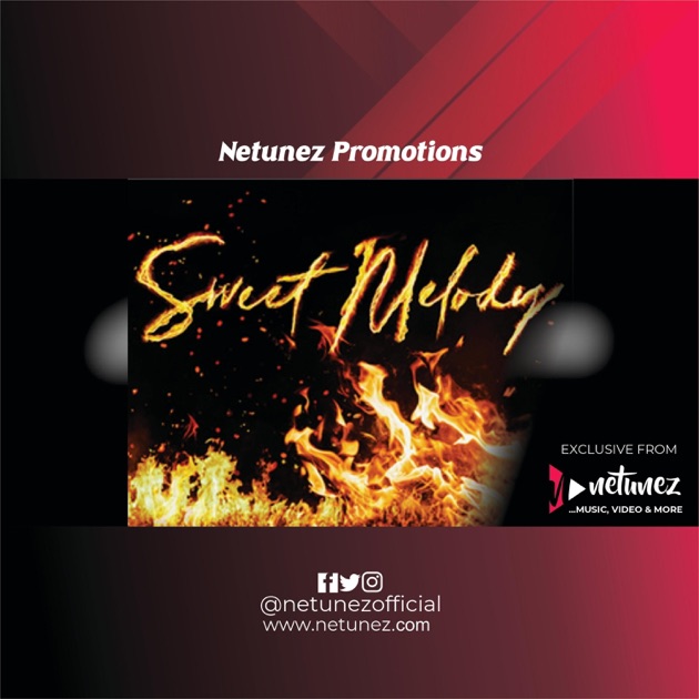 SWEET MELODY (INSTRUMENTAL) - Single - Album by NETUNEZ PROMOTIONS