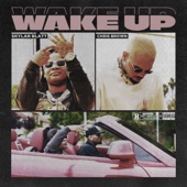 Wake Up (feat. Chris Brown) artwork