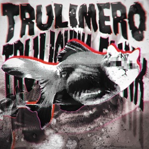 TRULIMERO TRULICHINA FUNK - EP