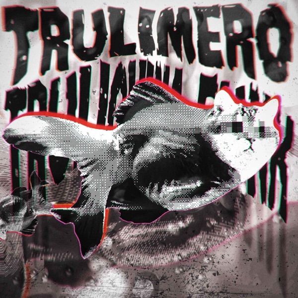 TRULIMERO TRULICHINA FUNK - EP