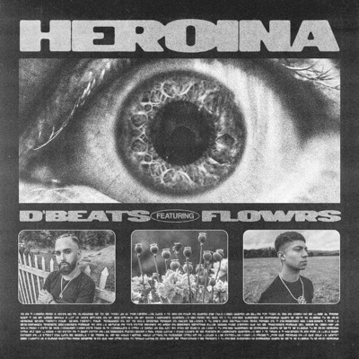 Heroina (feat. Flowrs) - Single