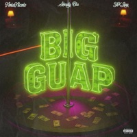 Big Guap (feat. Shady Blu & YKJay) - Single - NolaNicole
