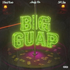 Big Guap (feat. Shady Blu & YKJay) NolaNicole
