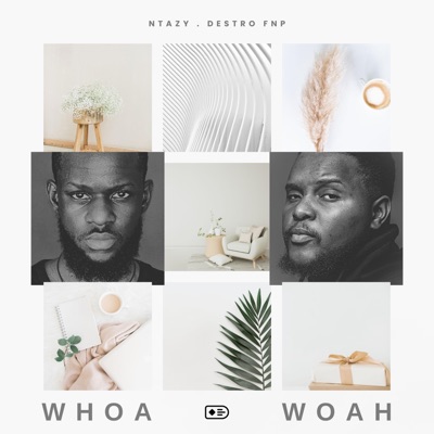 Whoa Woah (feat. Destro FNP) - Single