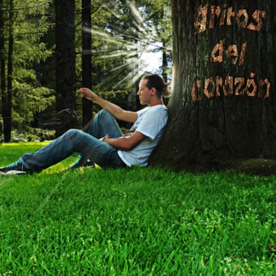 Gritos del Corazón (2012)