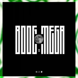 Where BoogBeSnappin, Megamxnn & Mega