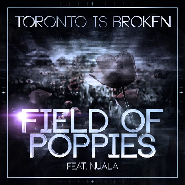 Field of Poppies - Single