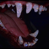 Genre - Single - Ceffz.z%*