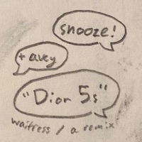 Dior 5s (THE RIVETING SEQUEL: Directed by the Late &/Or Great Avey Sommer) - Single - Snooze!