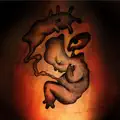 Thirteen Creatures