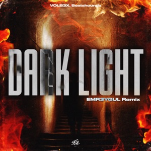 Dark Light (EMR3YGUL Remix) - Single