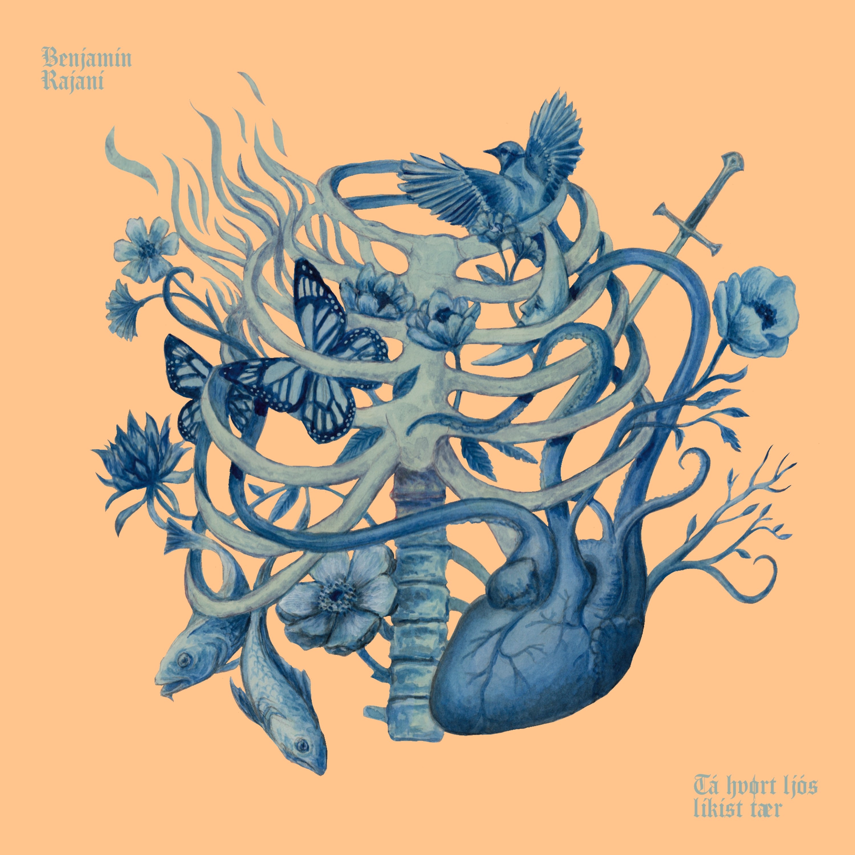 Benjamin Rajani - Býttur
