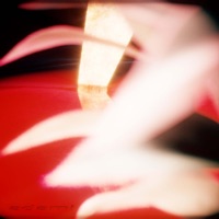 J'ai tout pris sur moi - Single - Adami