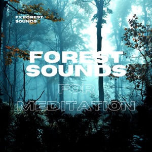 Forest Sounds for Meditation