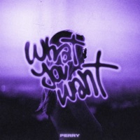 What You Want - Single - PERRY