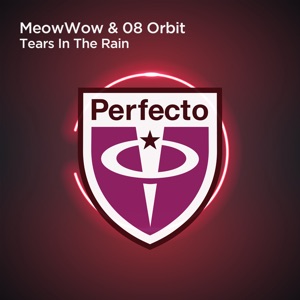 Tears in the Rain - Single