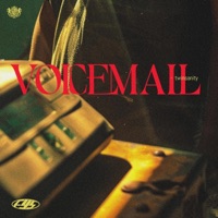 Voicemail - Single - twinsanity
